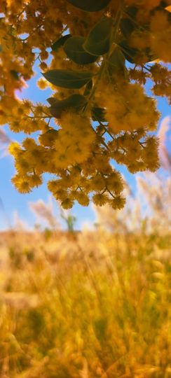 妞妞骑行古田县的图片