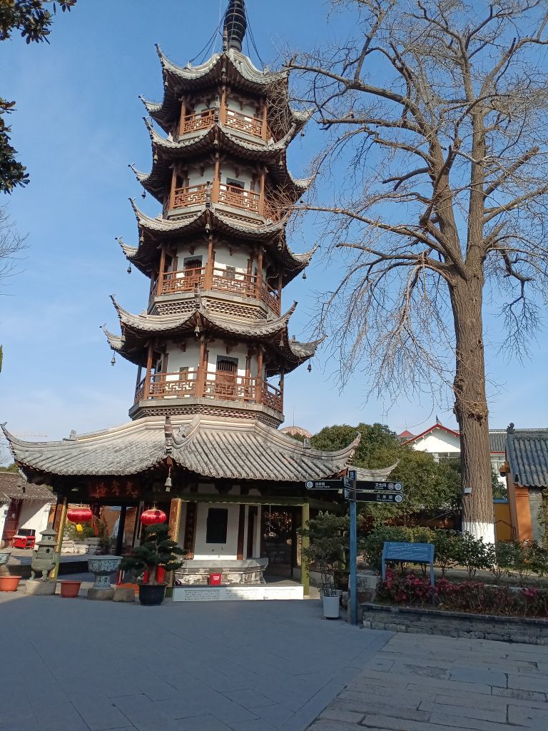 日【🔴】初主播图片