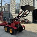 帕则力尤努斯1339