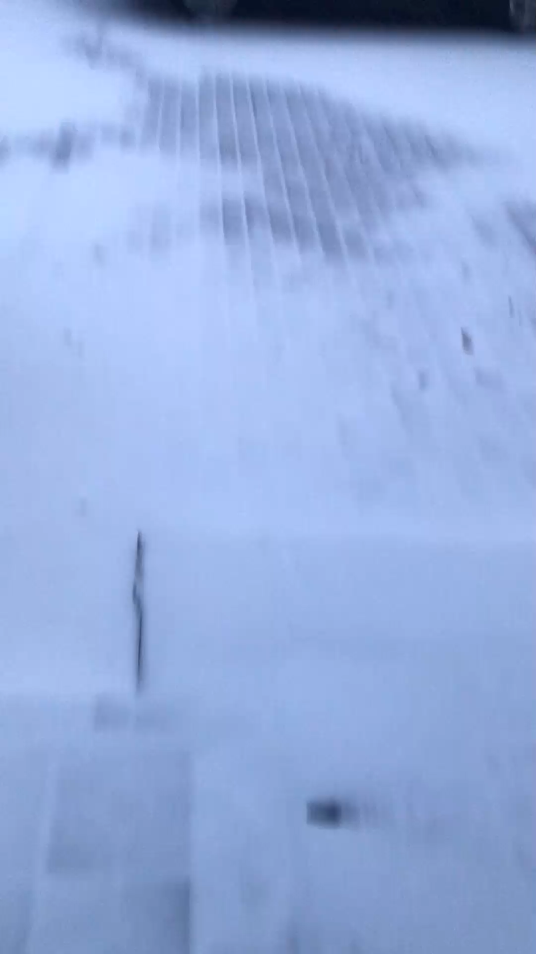 瑞雪丰年马到成功