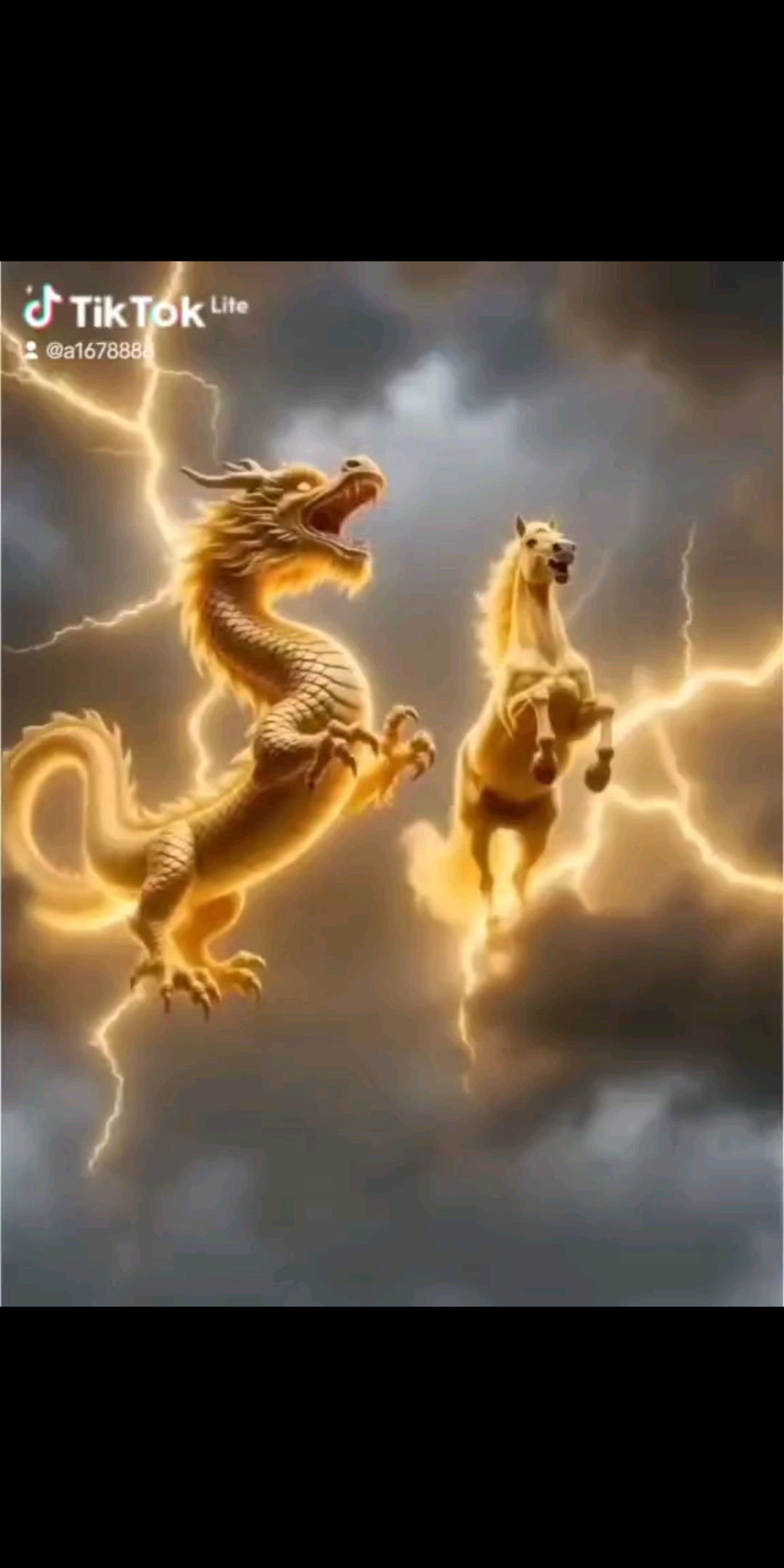 2026馬到成功一定