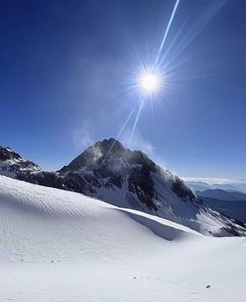 天王盖地虎虎044的图片
