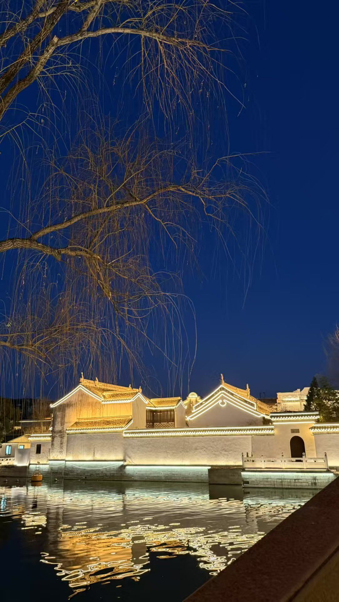 日【🔴】初主播图片