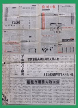 王牌真功夫的图片