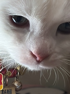 钱悦萌主🏮福伴同行的图片