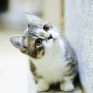 王浦光1525778的头像