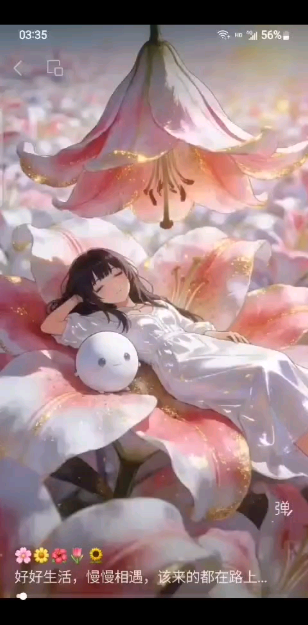 以前总以为，人生最美