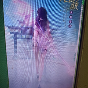 天山的雪莲花168