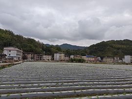 螺蛳粉超爱最美@叶子的图片