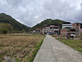 螺蛳粉超爱最美@叶子的图片