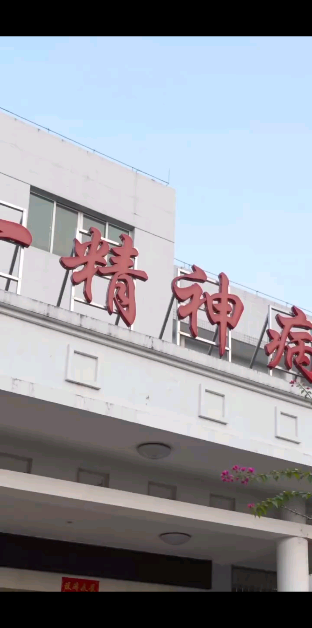 动态分享小视频