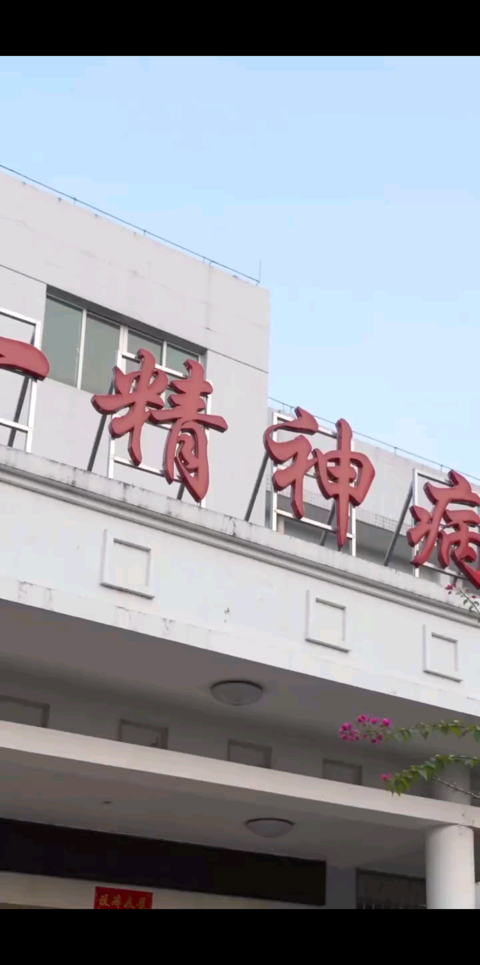 动态分享小视频