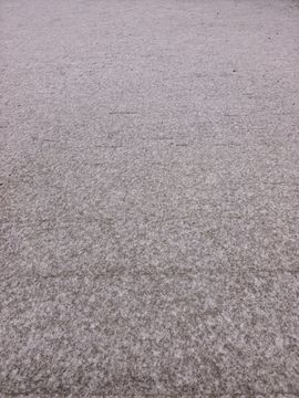 玥儿🐾休息～的图片