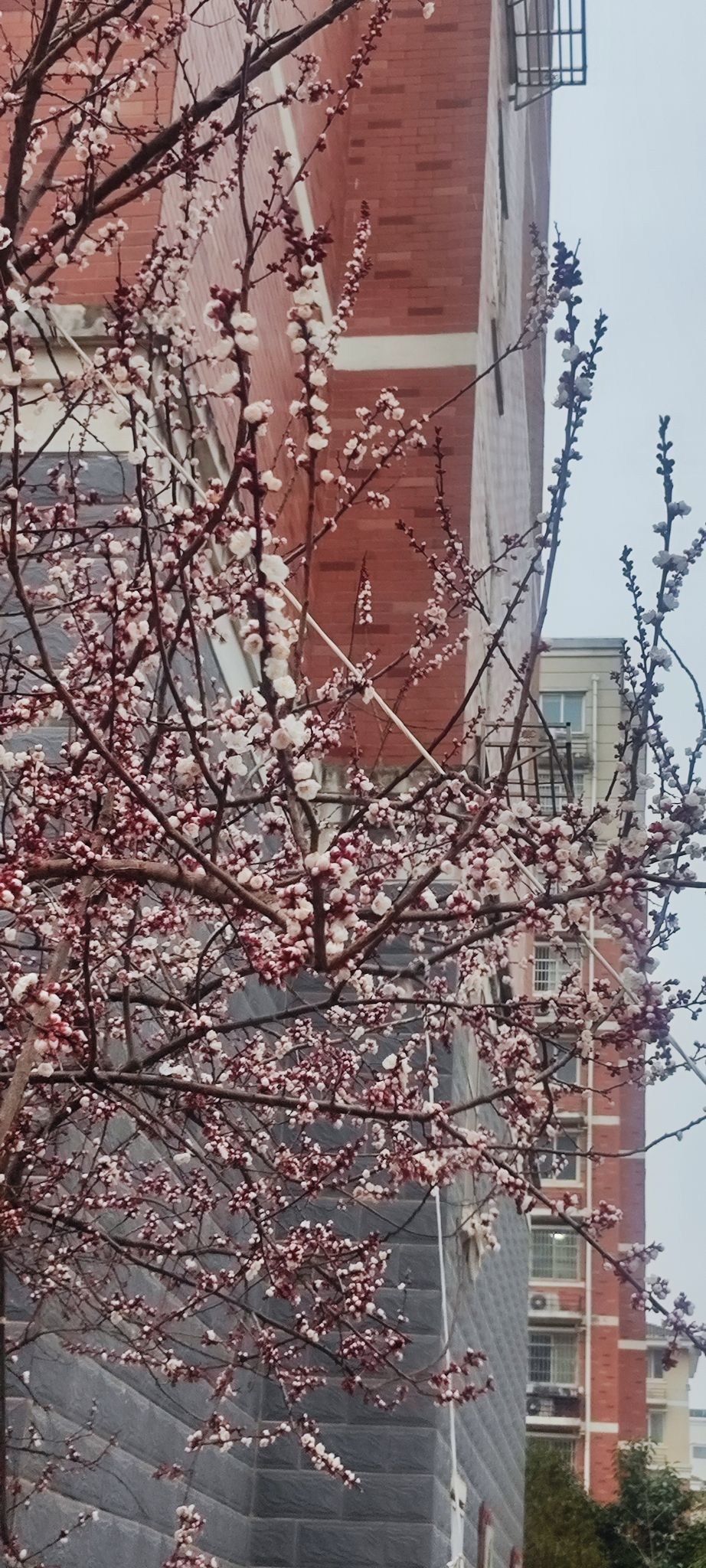 婷婷💕感恩有你陪伴主播图片