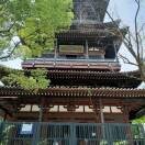 周宏杰Gda的头像