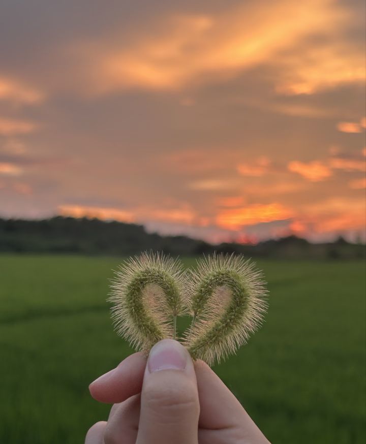 溫暖寶寶也想被保護(hù)主播圖片