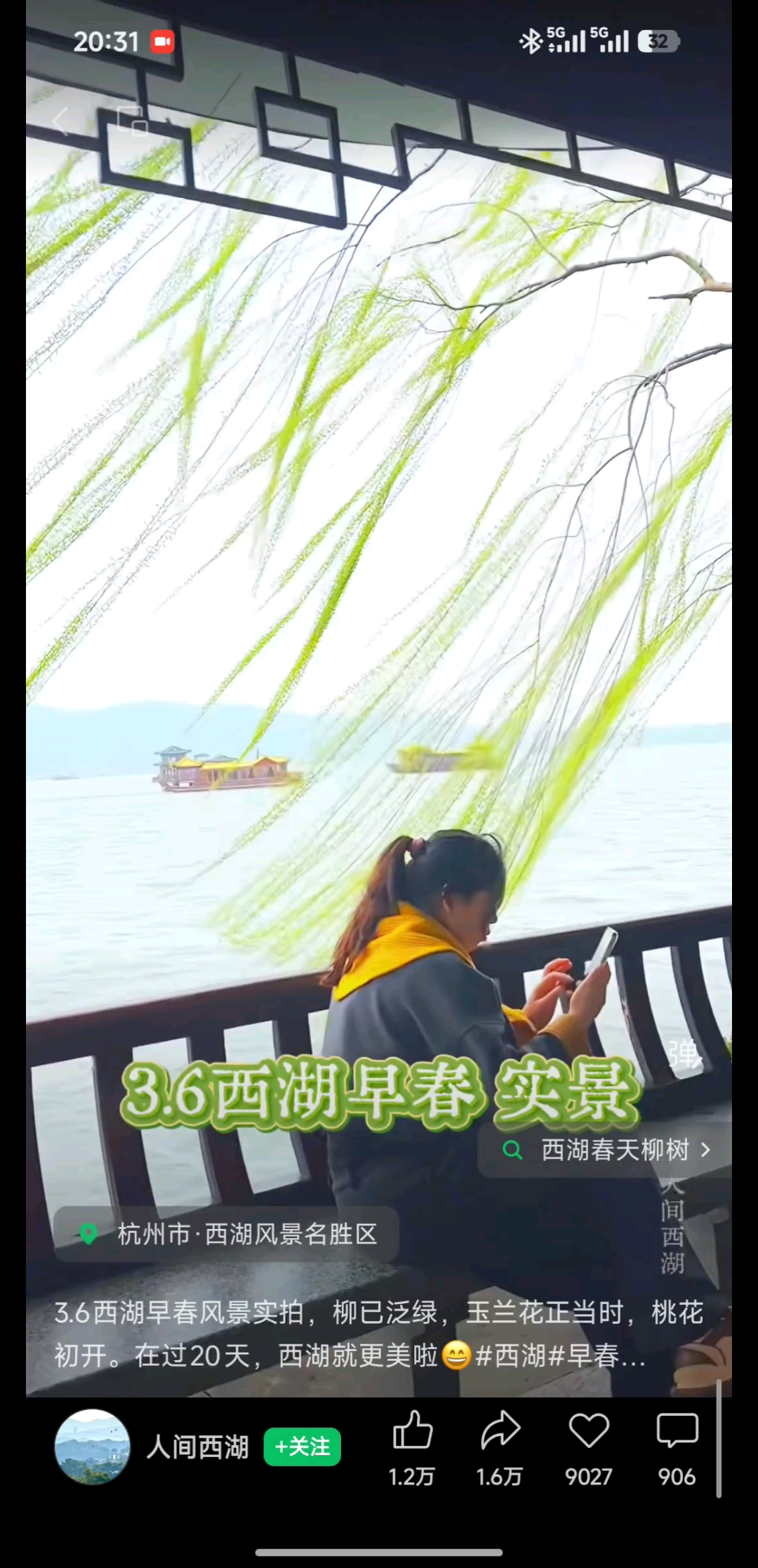西湖早春之柳树桃花玉