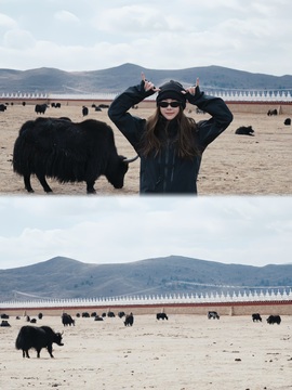 早早🎤今有事休息主播照片