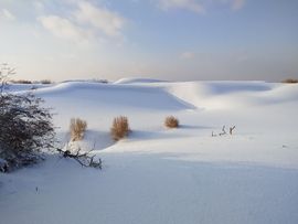天王盖地虎虎044主播照片