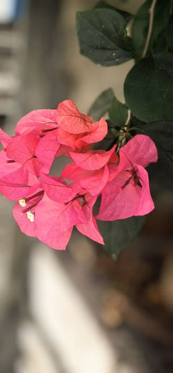 陈思郦🍀听经典主播照片