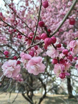 天王盖地虎虎044主播照片