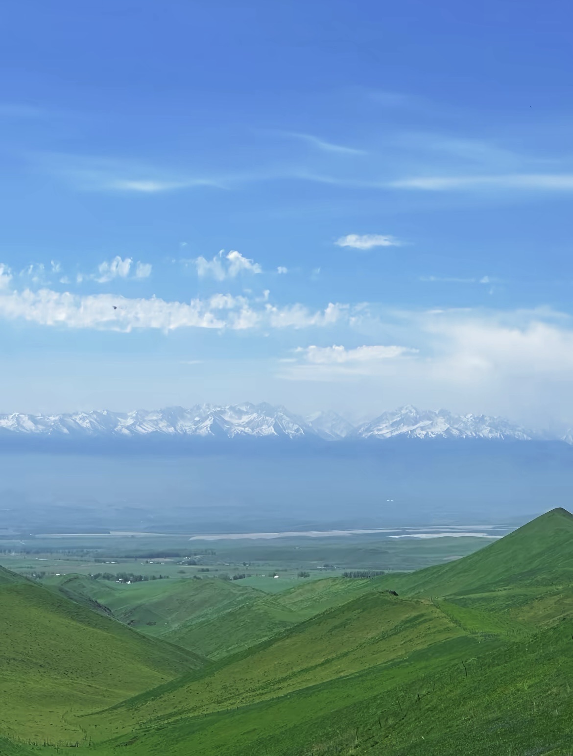 咩咩会做解析题的主播照片