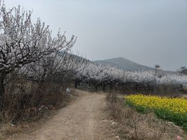 宝莉吖的图片