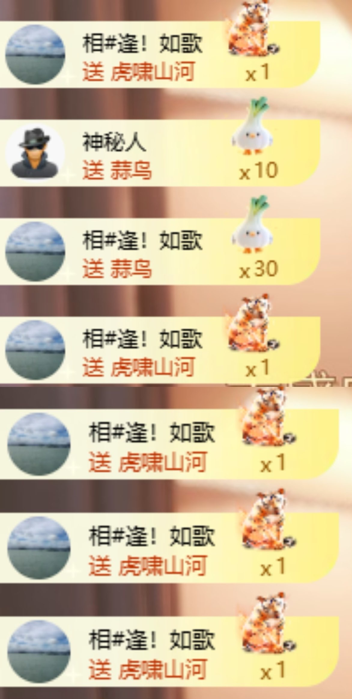 福多多！去捡瓶子了主播图片