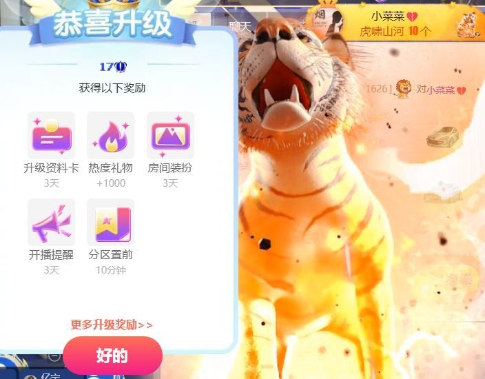 玟玟🌸加油主播图片