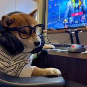 帥氣的陽光哥哥的頭像