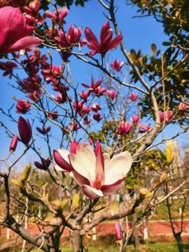 🌸诗语超爱上班主播照片