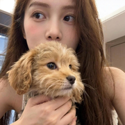 美吖鸭鸭~的头像