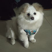 二哈哈哈哈哈哈哈