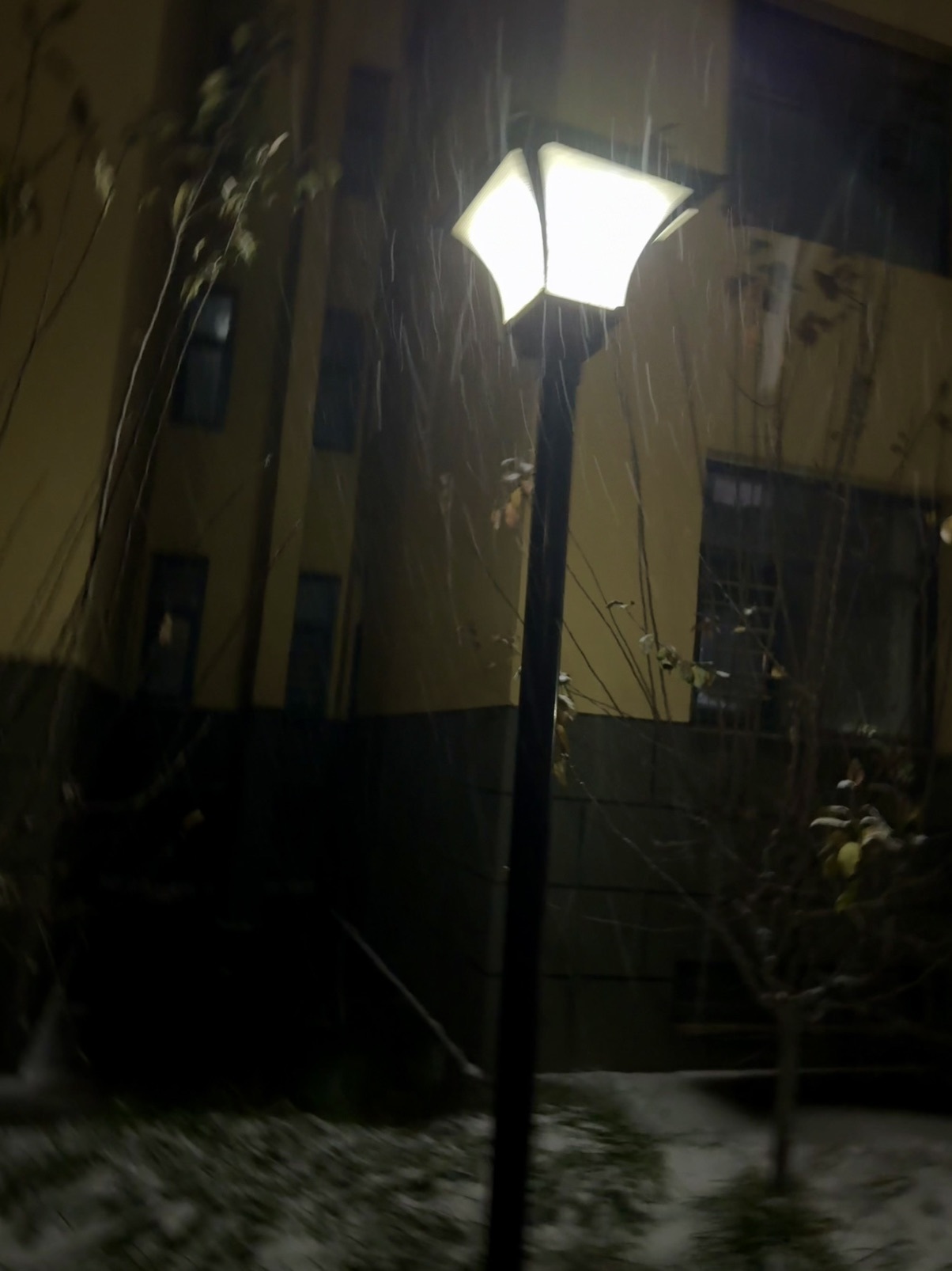 林蘇月超幸運主播圖片