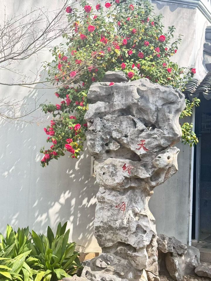 日【🔴】初的主播照片