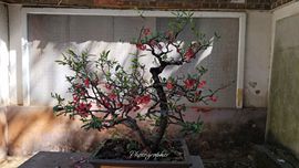 解封633335退播的图片