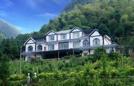 解封633335退播的图片