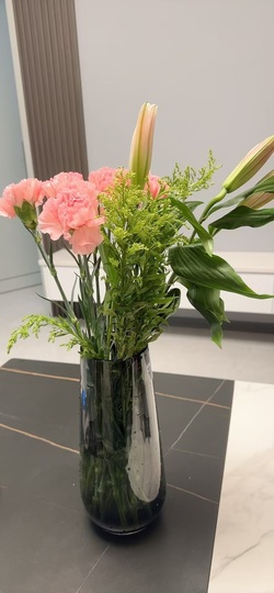 肉肉小娘子没人疼的图片