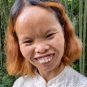 木子🍁，的头像