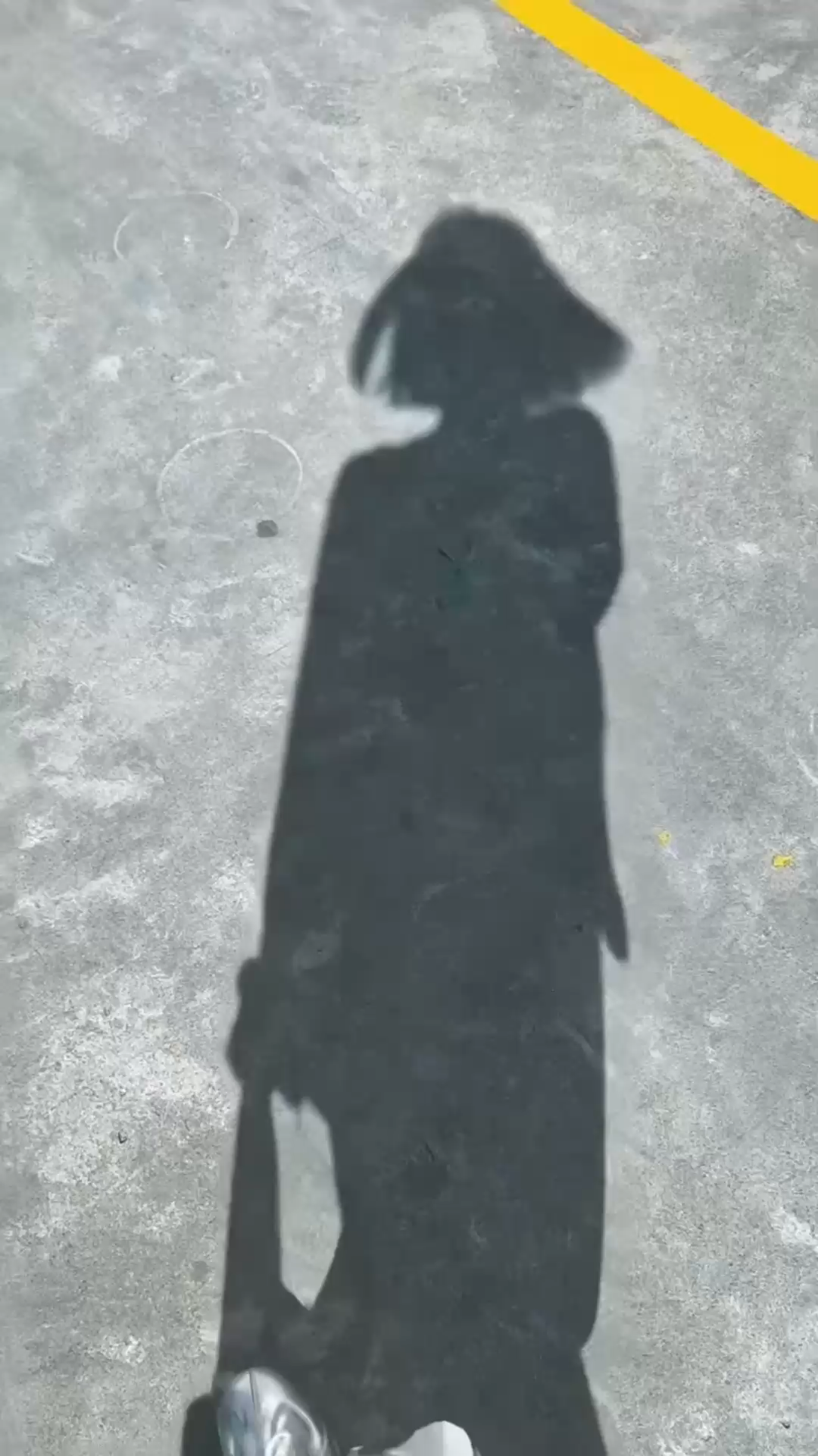 只夏夜星空几寸，似他