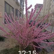 可惯可换，随心