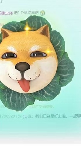 萌新糯米团团的图片