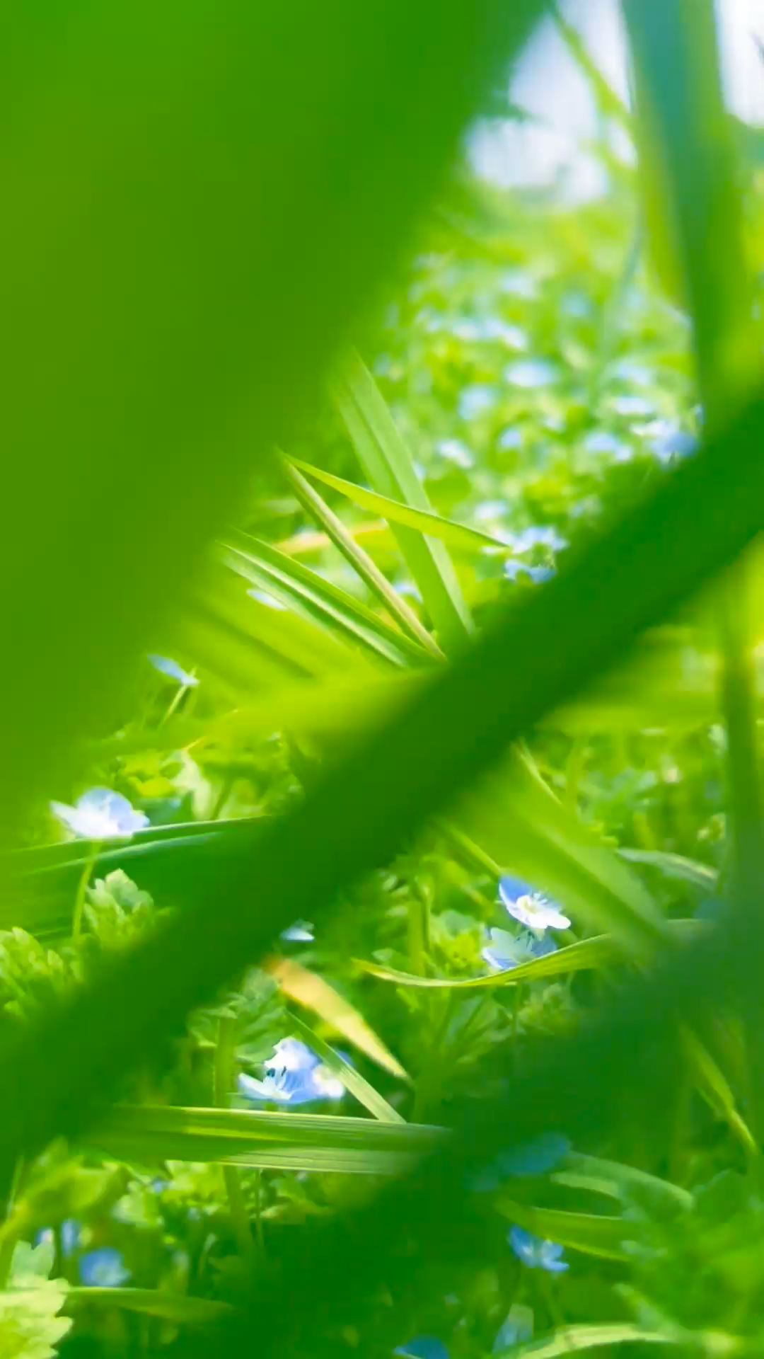 未曾设想的道路，常通