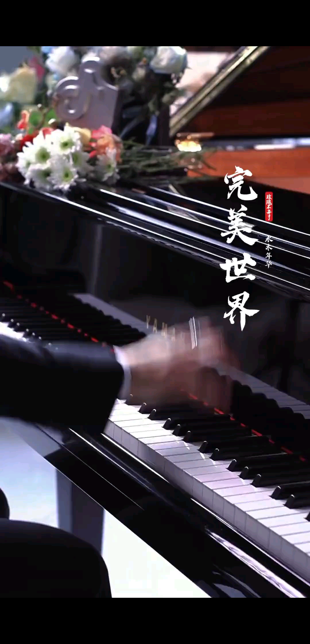 🎵音乐🎶钢琴小王子