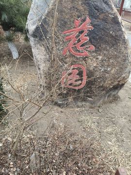 🌺阳阳得意🌺的图片