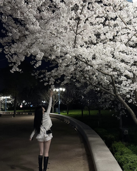 思佳💐的图片