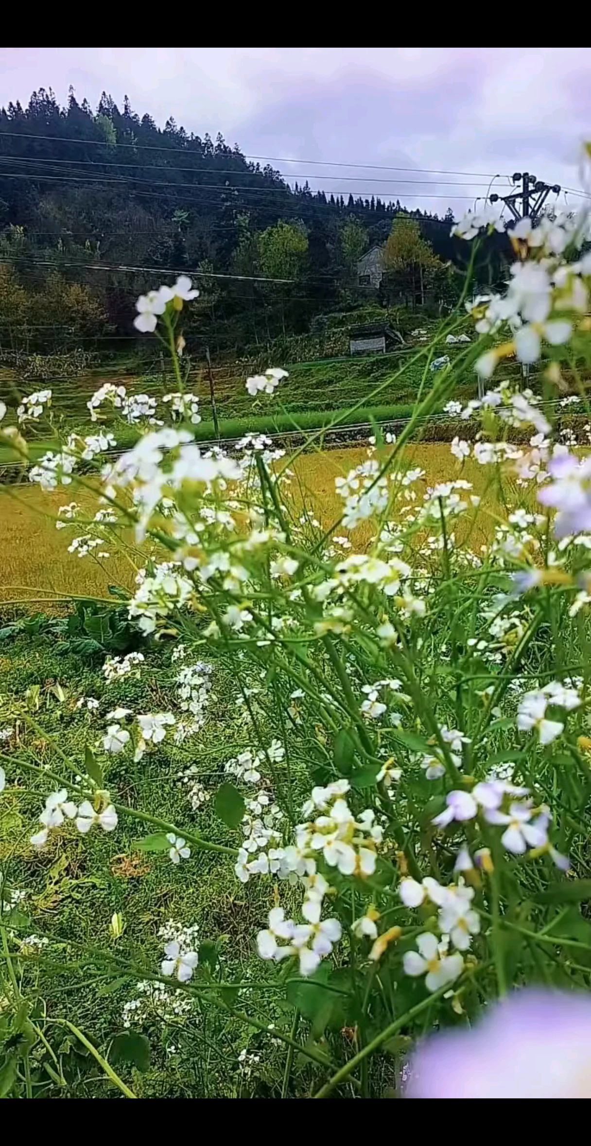 贵州三穗县沿途拍摄白