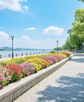 甜丫头√一路生花主播照片