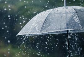 沁馨ღ求百元榜的图片