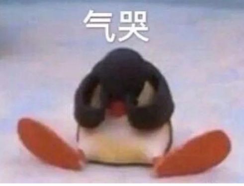 新人灵灵七主播图片